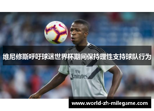 维尼修斯呼吁球迷世界杯期间保持理性支持球队行为