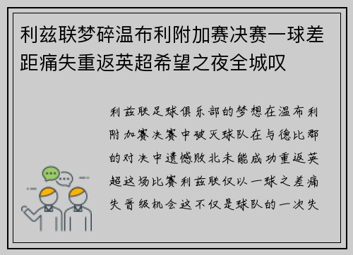 利兹联梦碎温布利附加赛决赛一球差距痛失重返英超希望之夜全城叹